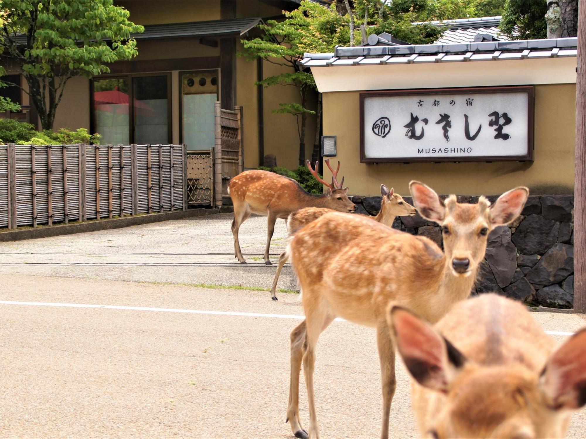 Kotonoyado Musashino Hotel Nara Exterior photo